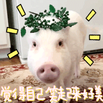 不会穿搭的建议反复观看小个子记住上简下繁或者上繁下简，不要上下同时复杂花哨，很容