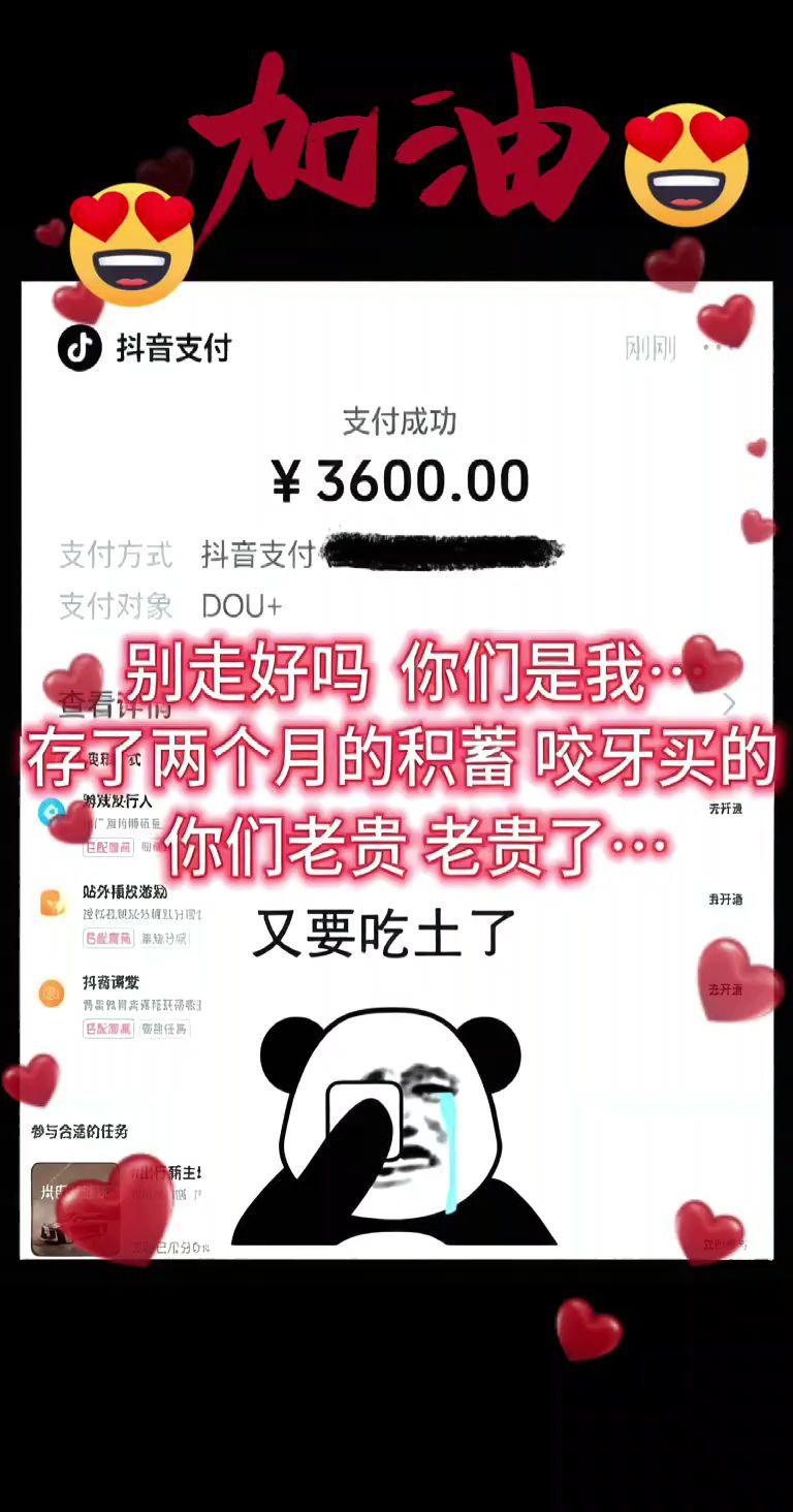 今年最大的单笔开销……抖音玩法合伙人计划抖音流量扶持