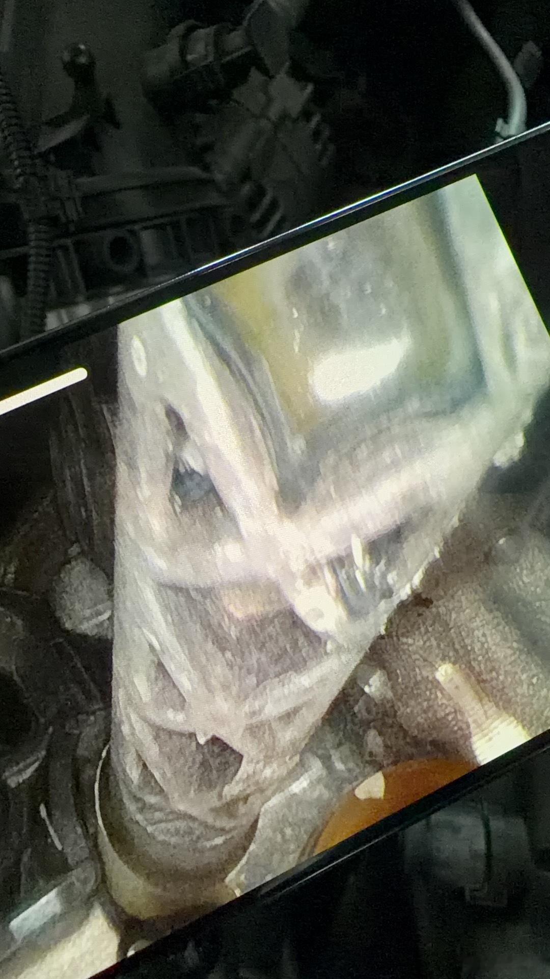 车主投诉【宝马3系发动机热管理模块故障厂家未执行善意维修要求退换维修费】车主贾先