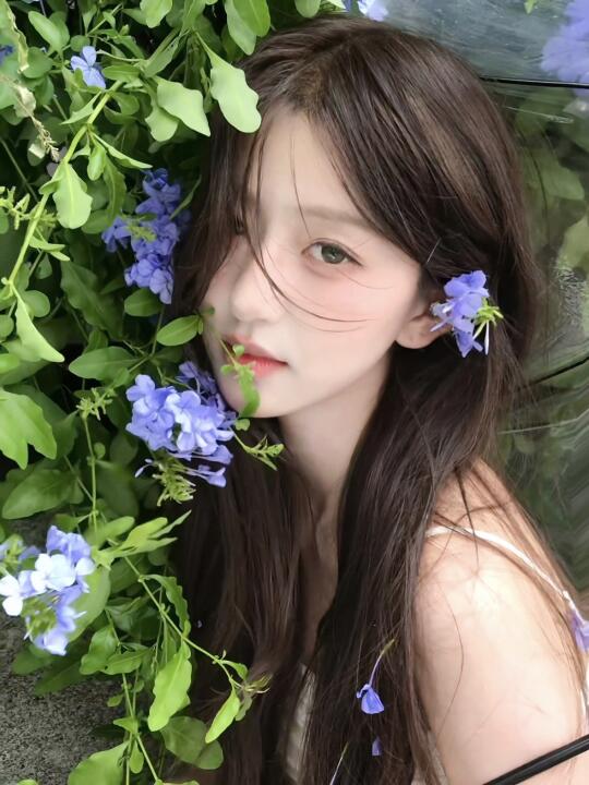初夏的蓝雪花🦋