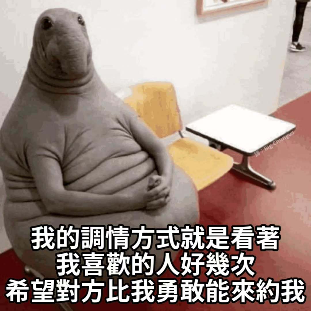 等TA主动memes
