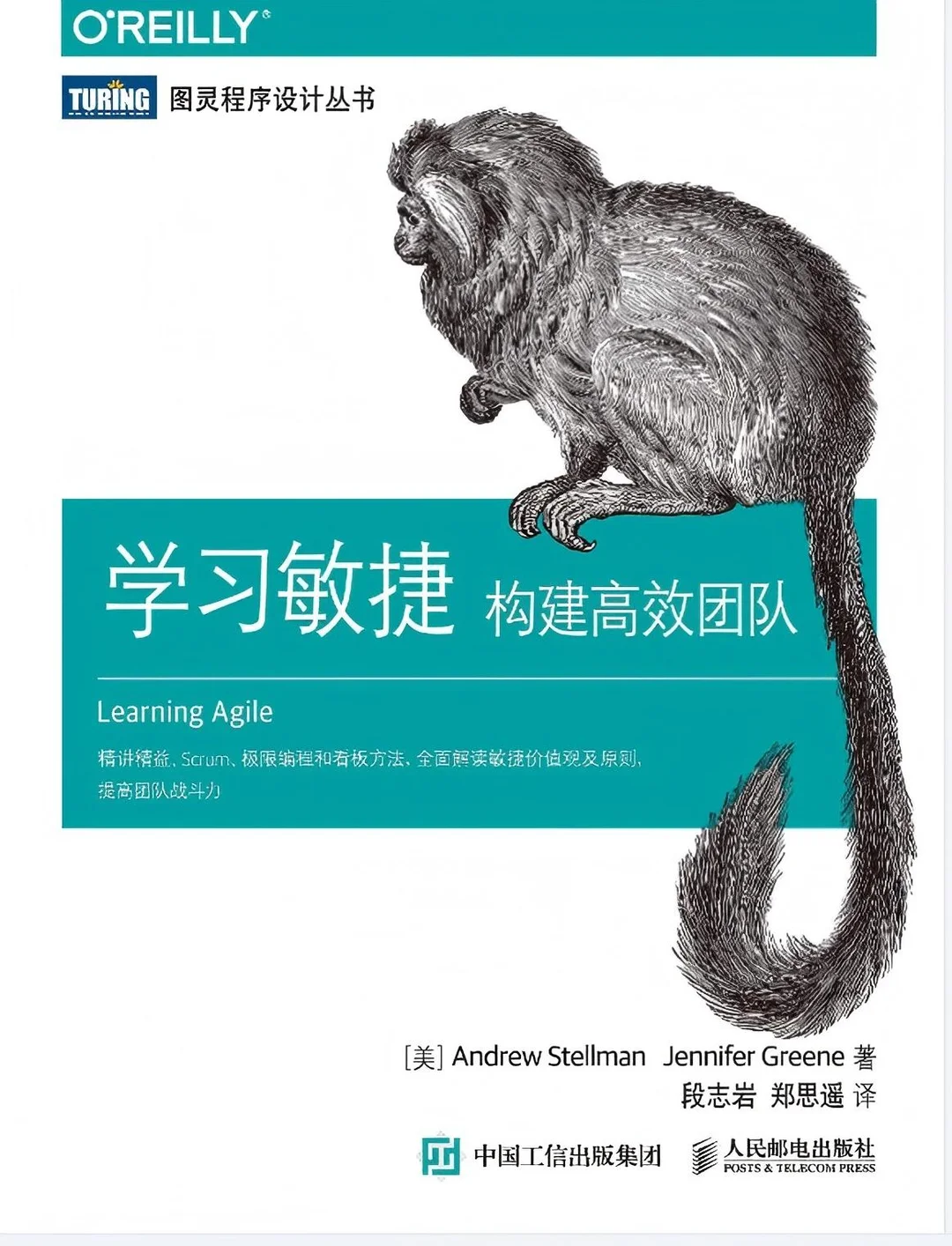 《学习敏捷：构建高效团队》