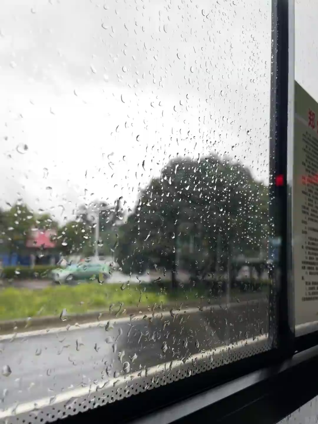 昨天还说郑州天天是阴天不下雨呢今天就下的好大被老天爷狠狠教训中 