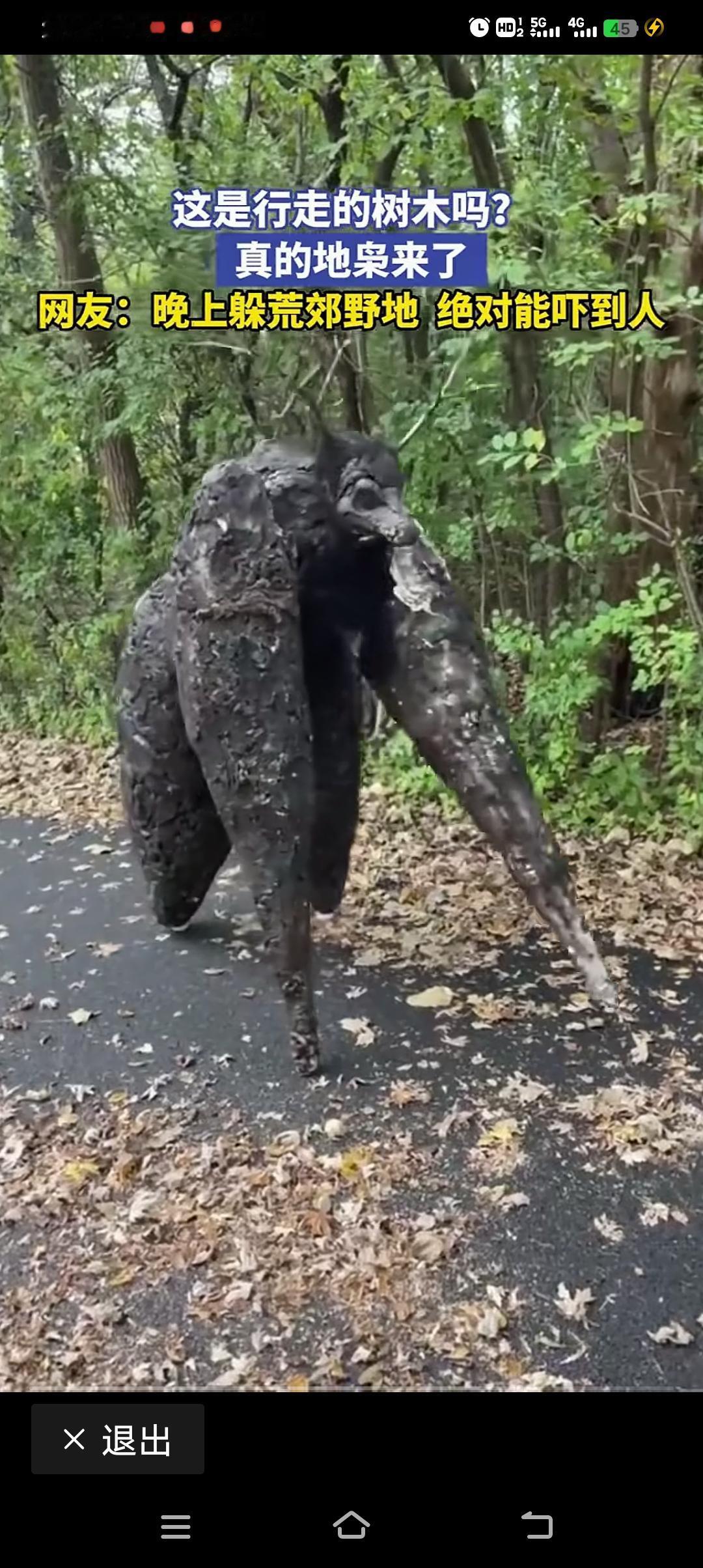 地枭，是什么动物？我们大家绝大多数是没有见过，也不认识它。
地枭 枭族 地枭伥鬼
