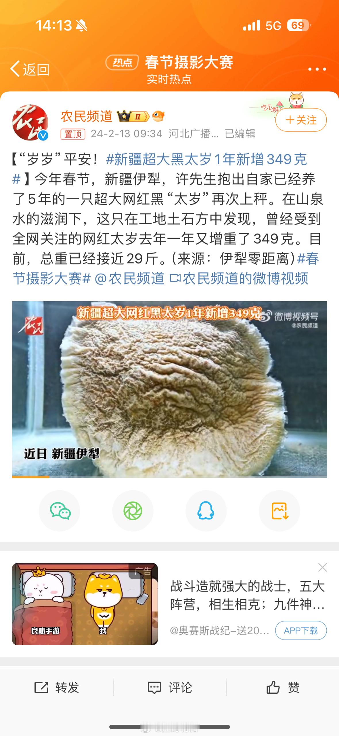 #新疆超大黑太岁1年新增349克# 这原博底下怎么还有转发接好运的？2020年中