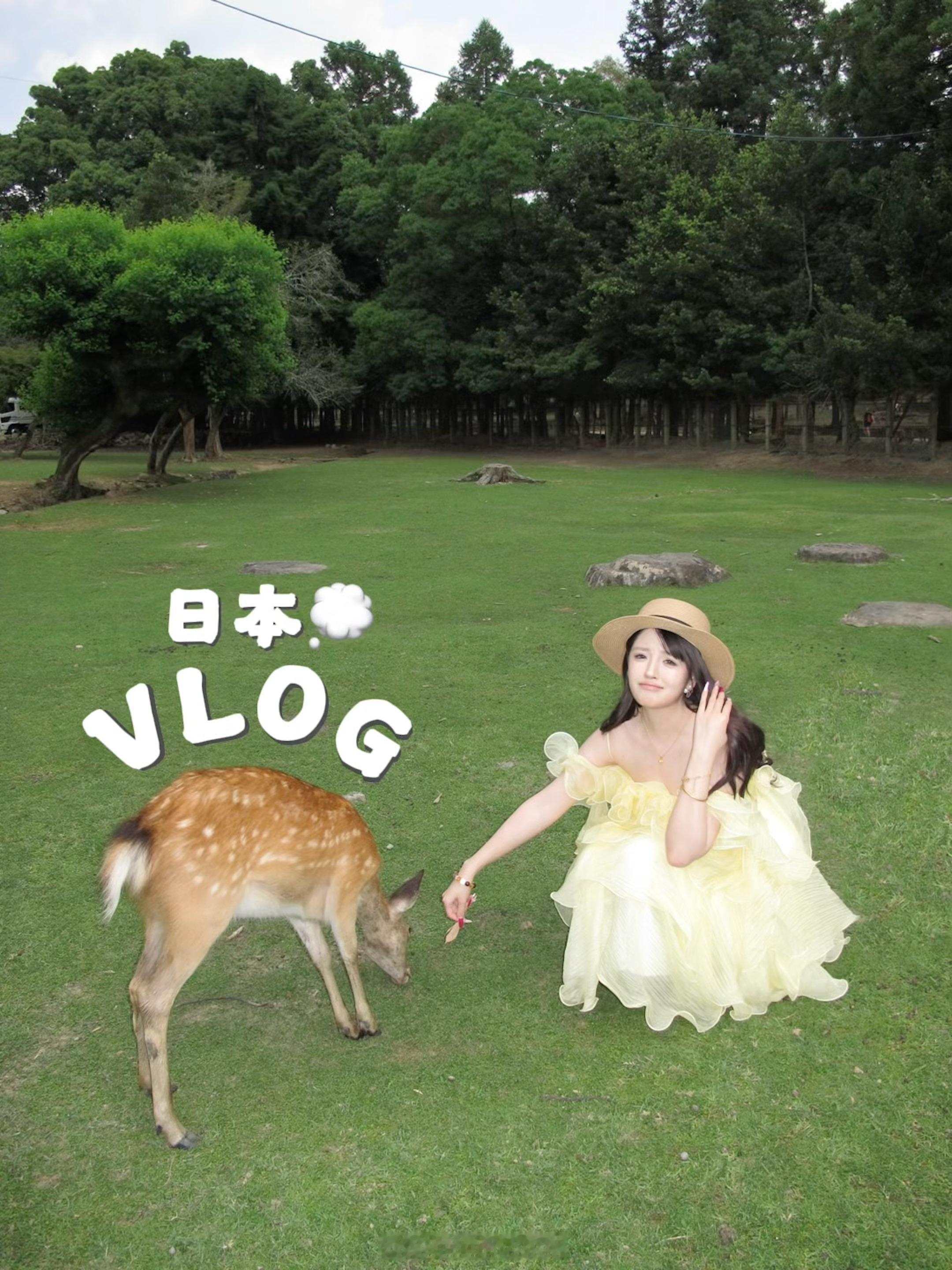 9分钟超长日本vlog！！出生！！了！！！ 