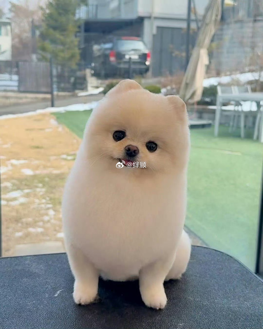 接下来的你，好运加满，幸福翻倍。 