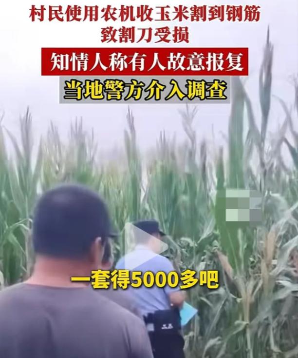 缺德到家了！河北邢台宁晋县，小伙开收割机在地里抢收玉米，谁知机器接连故障，无法工