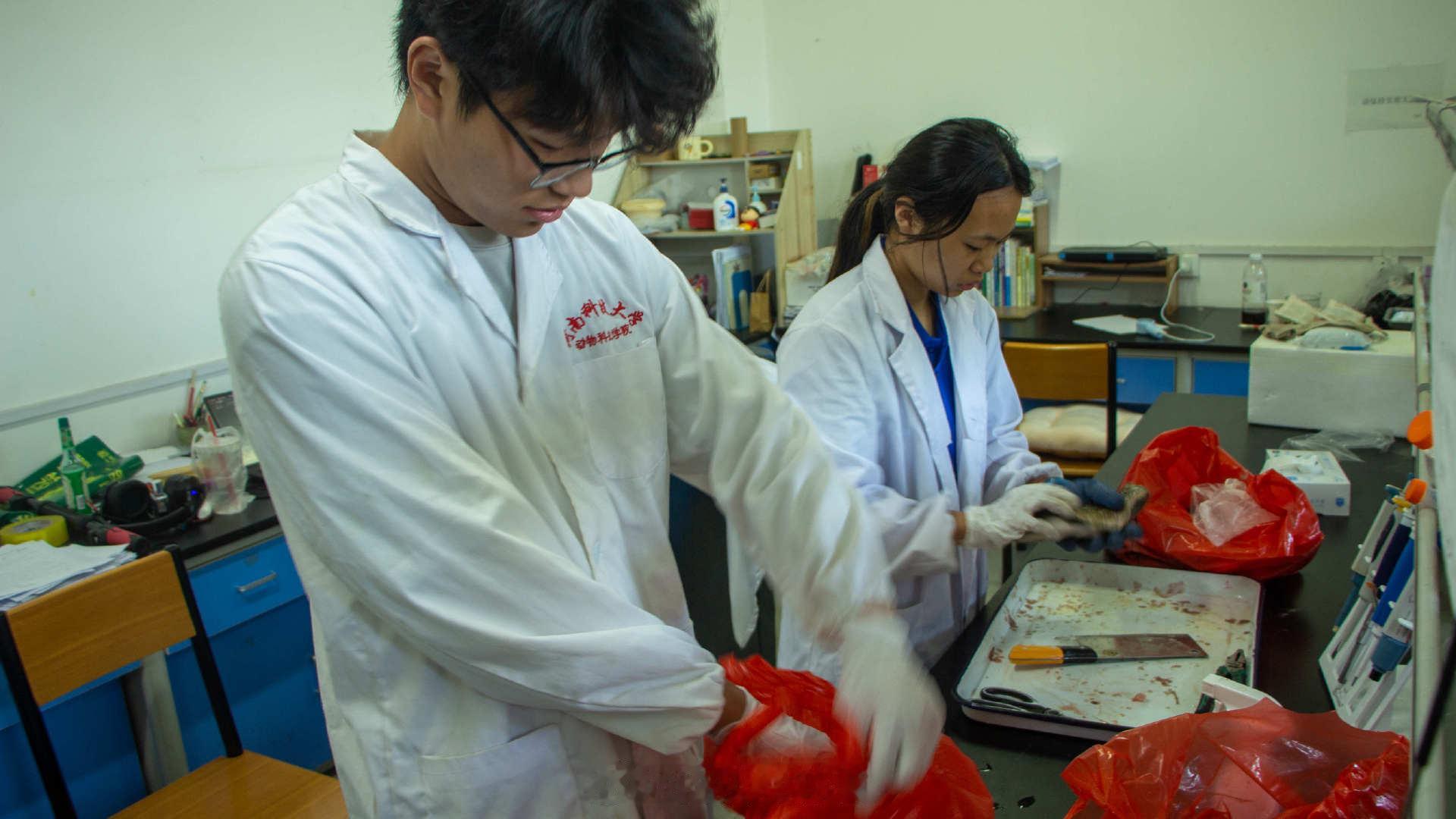 【躬身实验析数据 青春护安筑防线】河南科技大学学子助力基层食品安全河南文旅初秋上