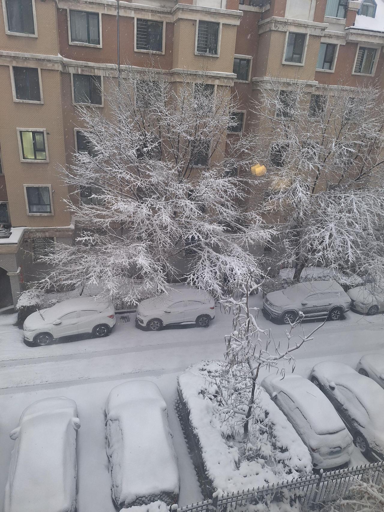 这次天气预报还真准，预报暴雪，果然，下了半个晚上加一上午，多处实测，车顶、拒马、