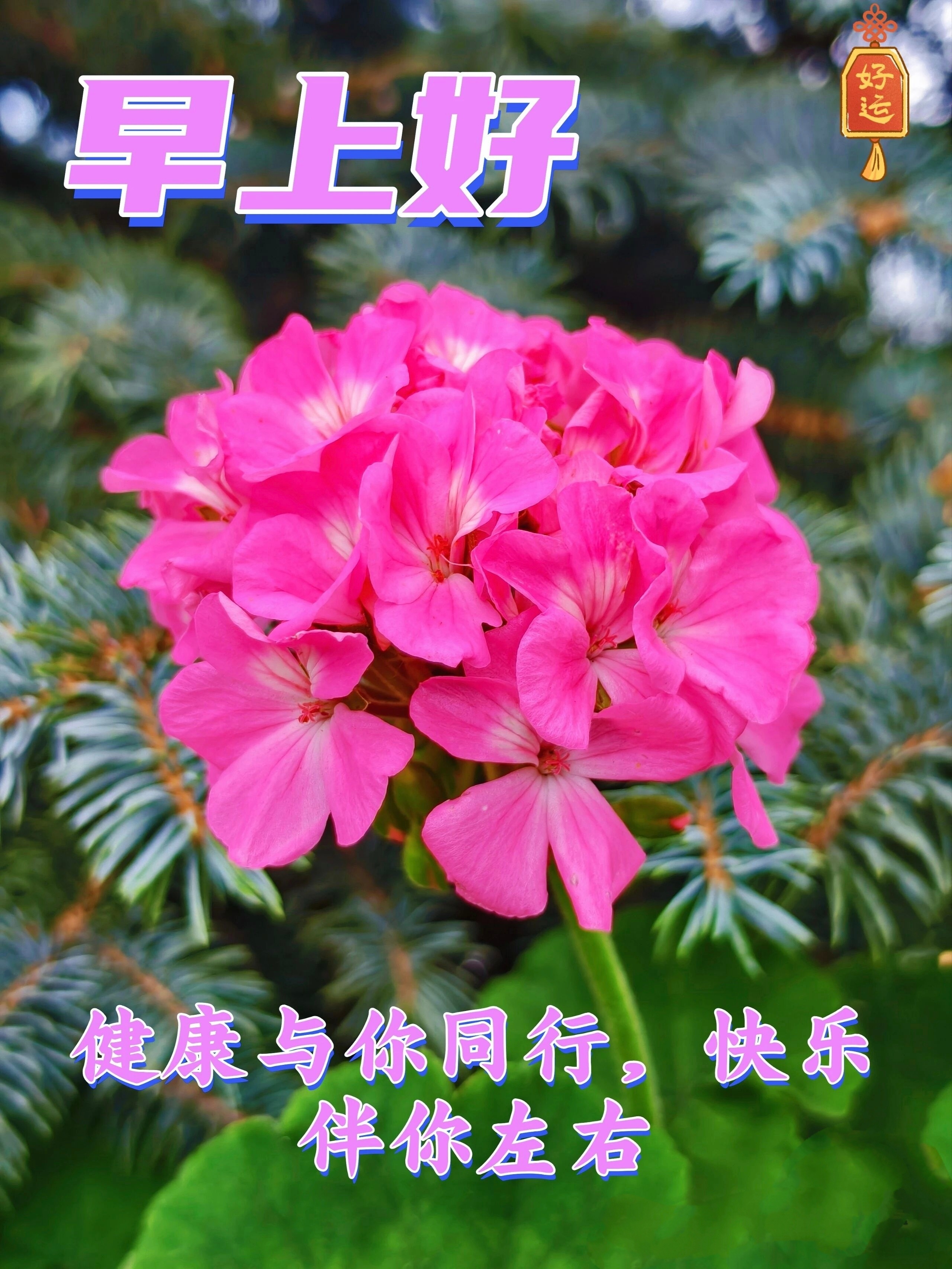 【健康养生】1 ）缺乏维生素B1易有疲乏、食欲差、恶心、忧郁、急躁、沮丧等表现。