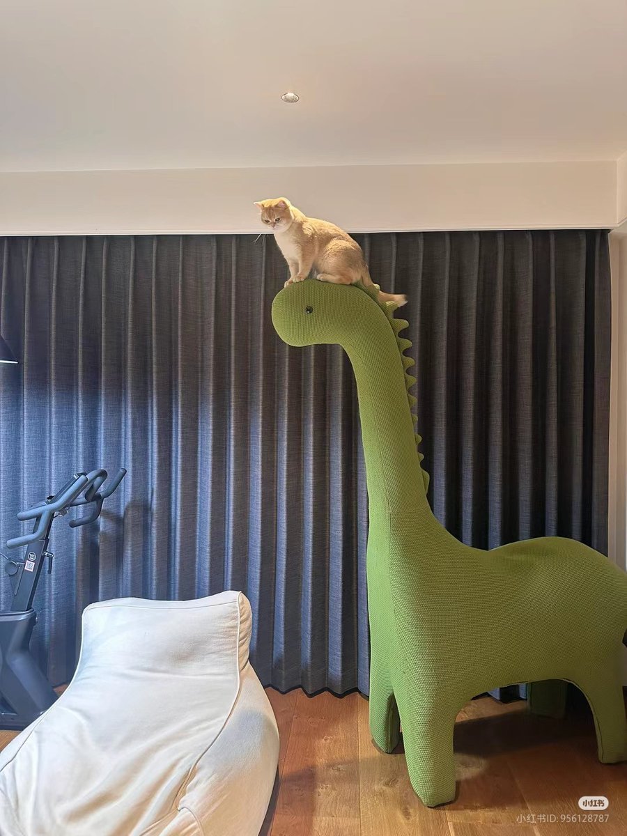小猫跳楼🐈萌之 