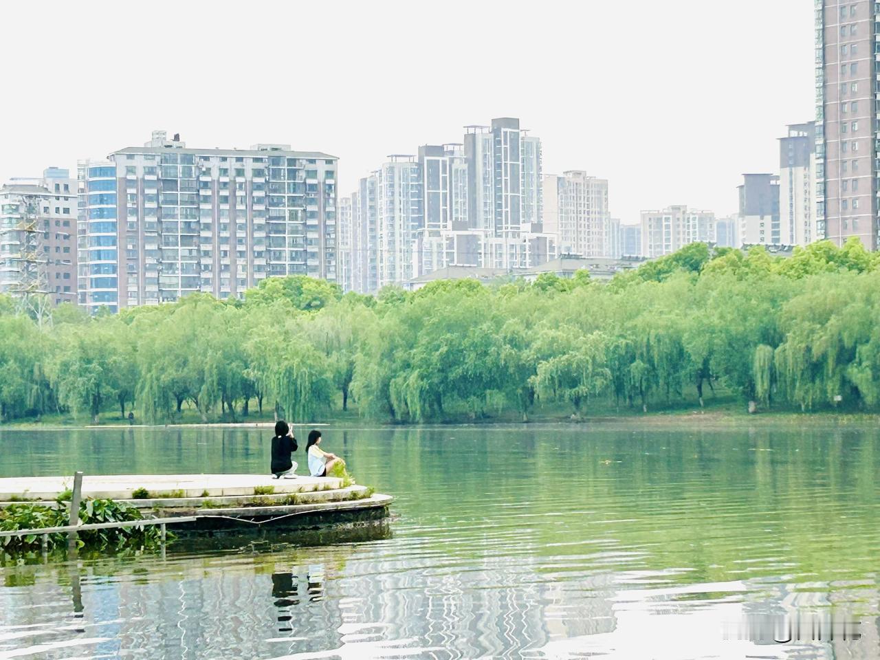 以水为镜——都市中的一方小宁静（随手拍）。上一个周末，我到城东湿地公园漫步。不经