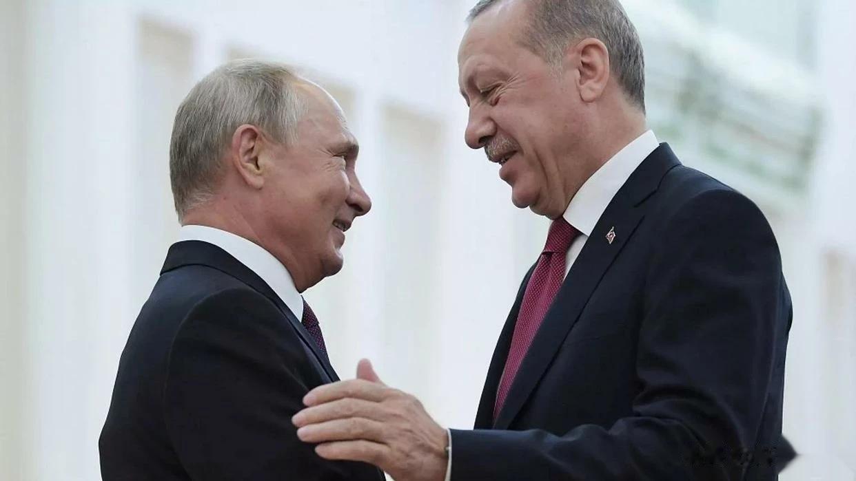 土媒：总统埃尔多安将在与普京会晤时宣布拟就乌克兰冲突进行斡旋

来源:俄罗斯卫星