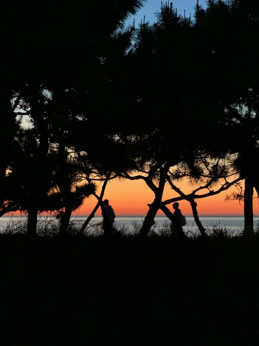 日照｜封神日出🌅凌晨四点的