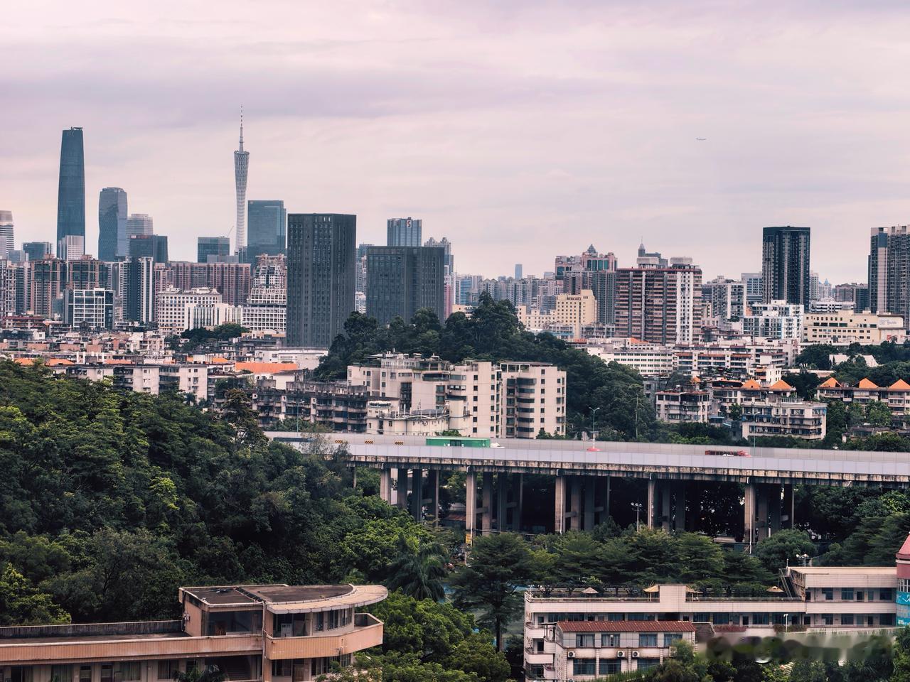 发一张图证明你到了白云山昨天没坐缆车，徒步。真的，而且走的是野路