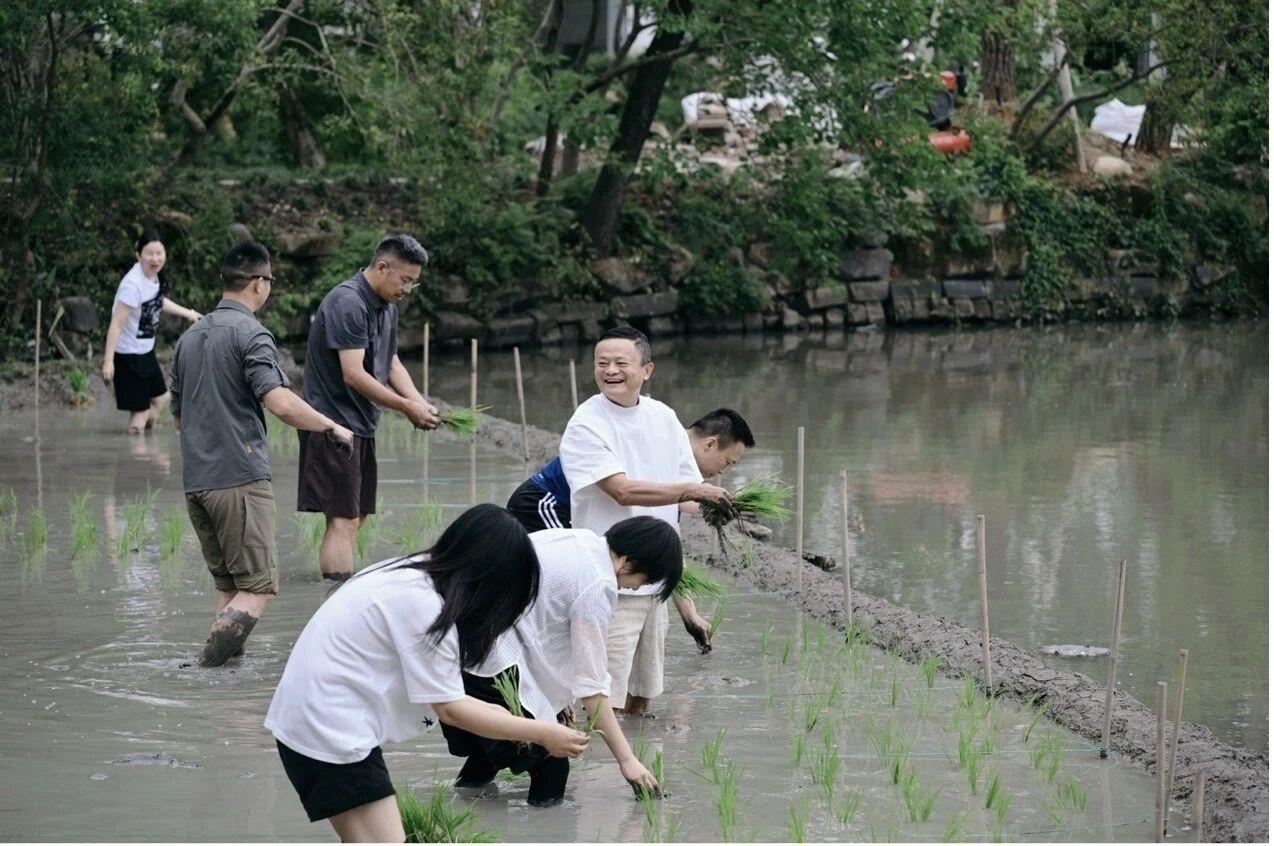褪去浮躁埋头深耕，躬身实干不装了！
6月22日三言财经最新消息，杭州阿里组织管理