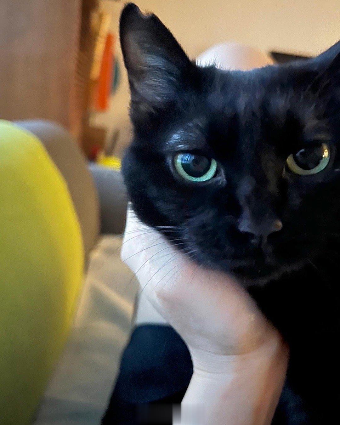 👀😍😍#蝦蝦不可以太可愛 ​​​