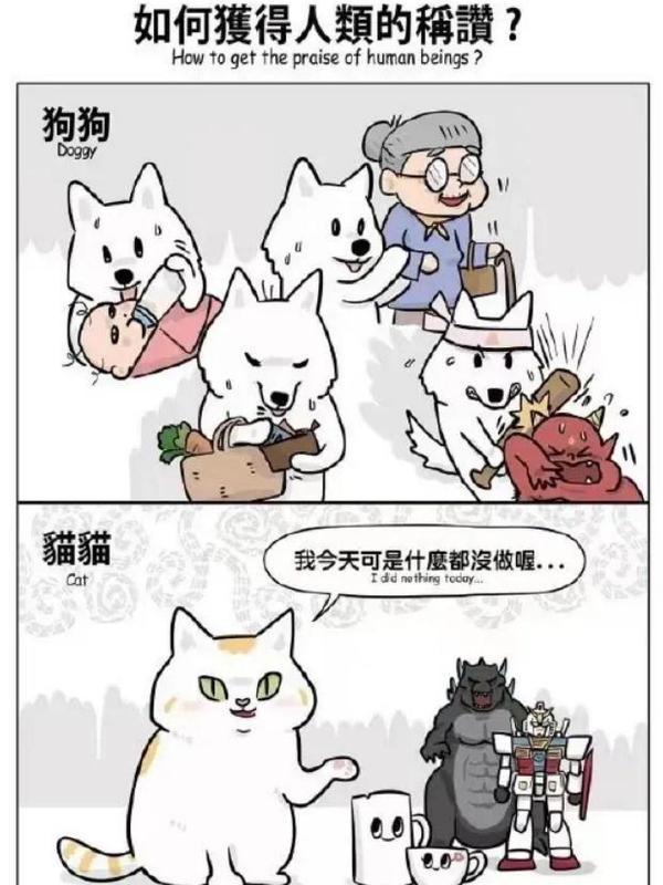 谢谢狗狗。
感恩猫猫。