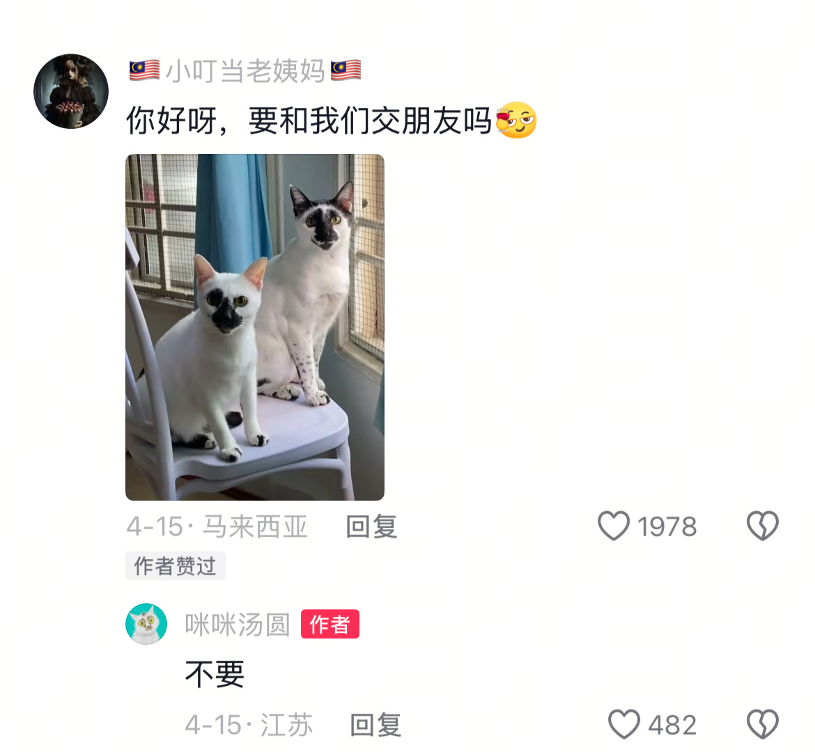 那些长相抽象的猫咪，简直不忍直视哈哈哈。动物奇遇记