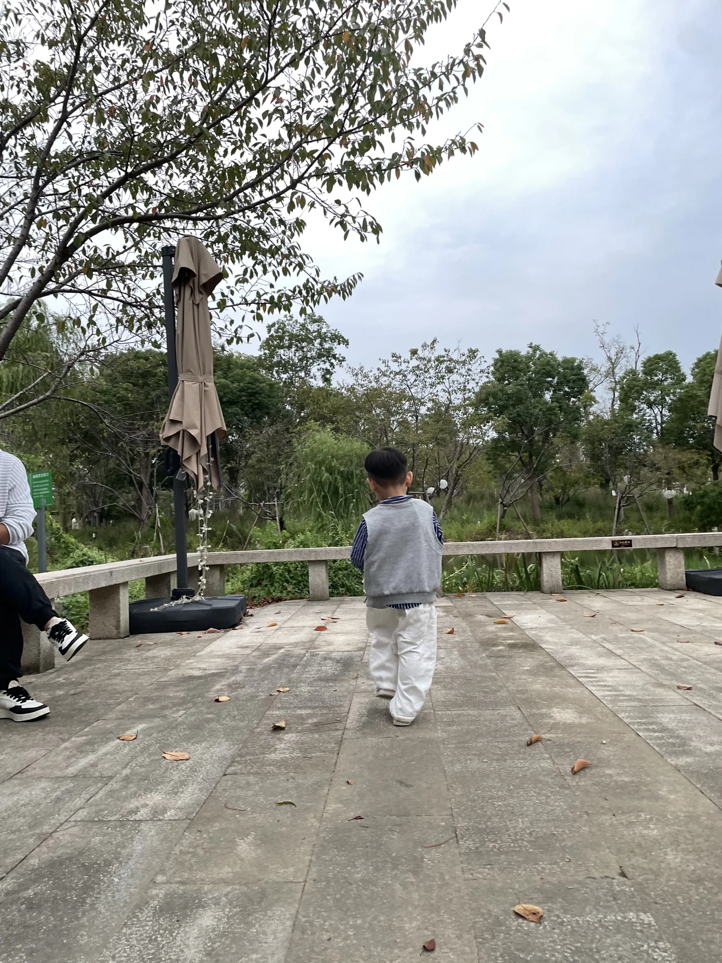 蒲公英优质笔记激励计划3