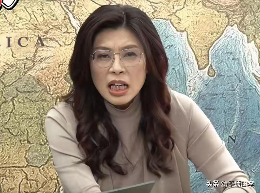 郑丽文：嘴上的“女侠”，手中的空拳

郑丽文的政治影响力，像极了一场雷声大雨点小