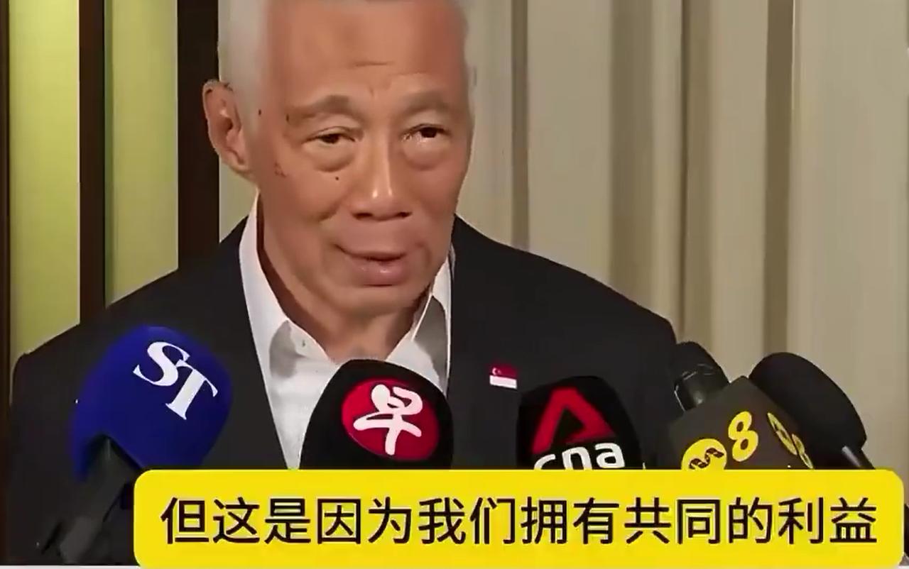 李显龙好耿直。他在近日访华期间接受采访时表示，新加坡与中国开展合作与交往，主要是