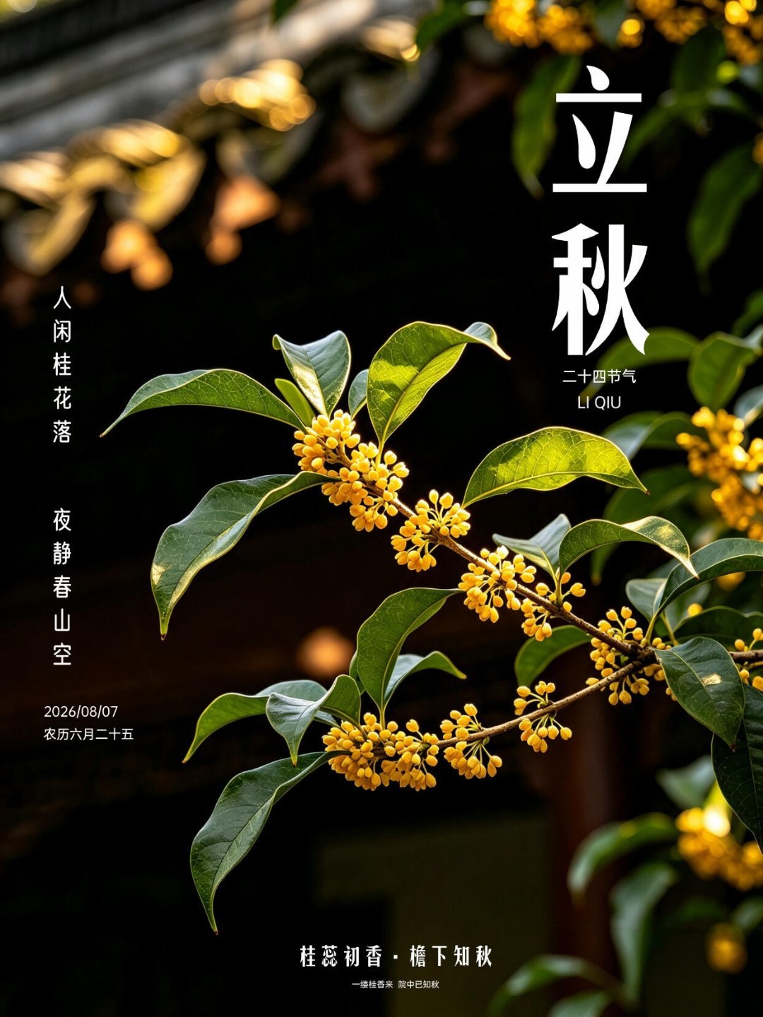 立秋立秋｜夏意渐收，与温柔秋日不期而遇云天收夏色，木叶动秋声风慢慢褪去盛夏的燥热