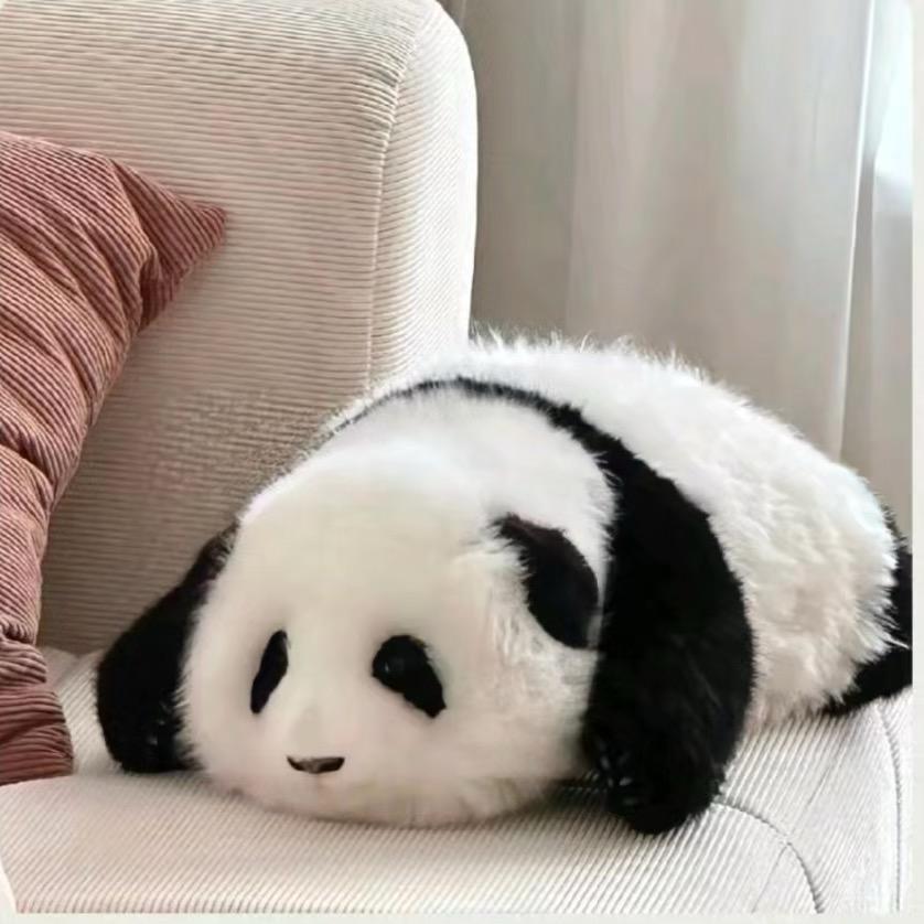 劭亭细说小姐姐