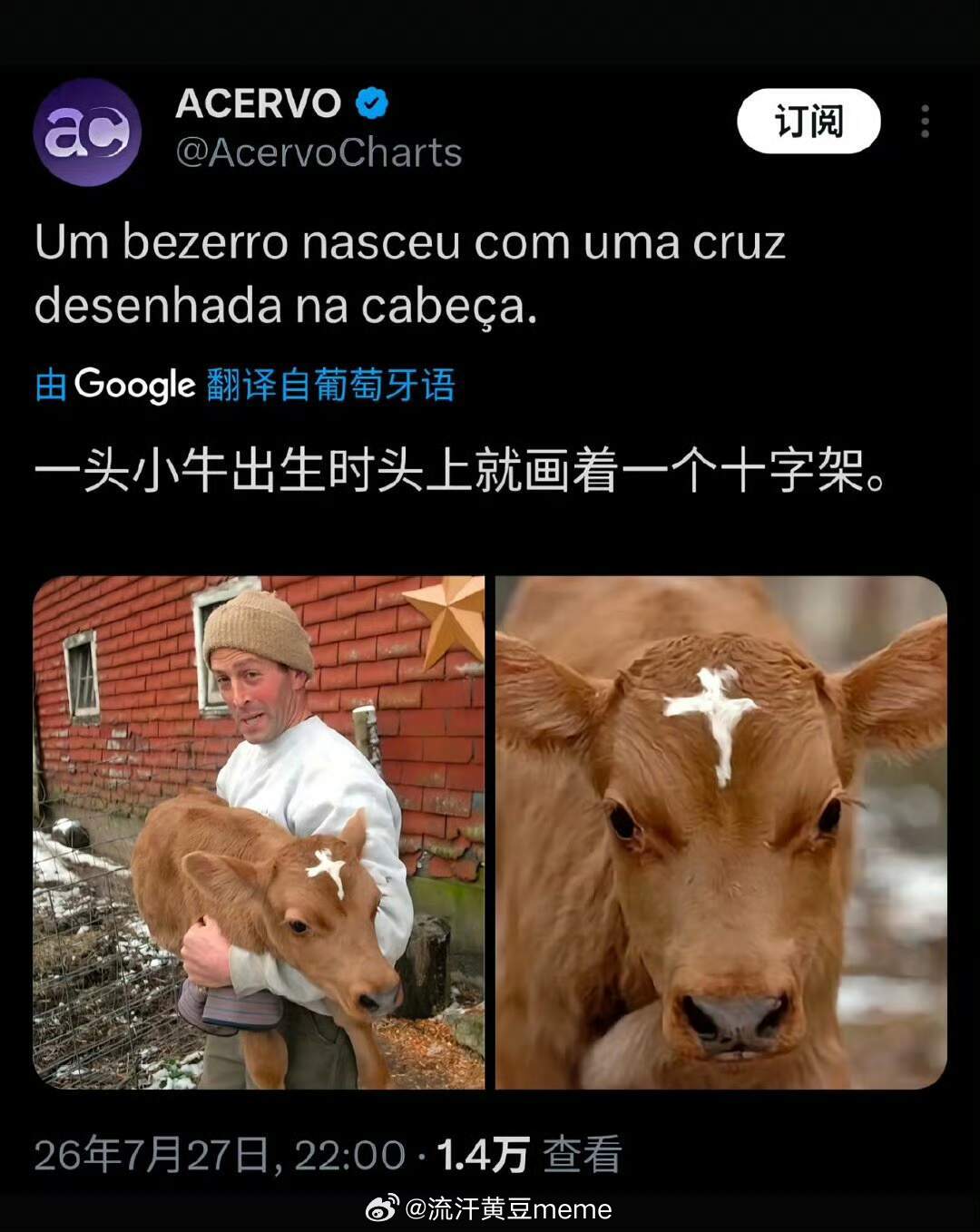 地球如此美好网友投稿图片选集