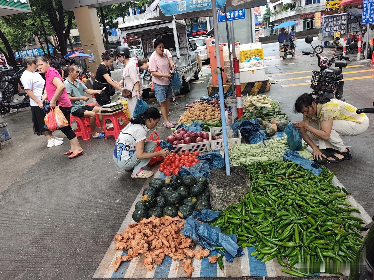你问我答老婆喜欢买地摊菜，她说地摊卖菜接地气，真的接地气吗？