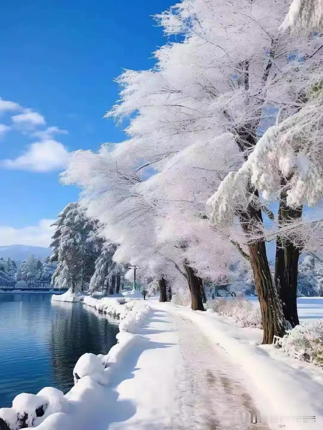 江南景色，美不胜收。
北国风光，千里冰封。
四季转换，风景不同。
各有特色。走不