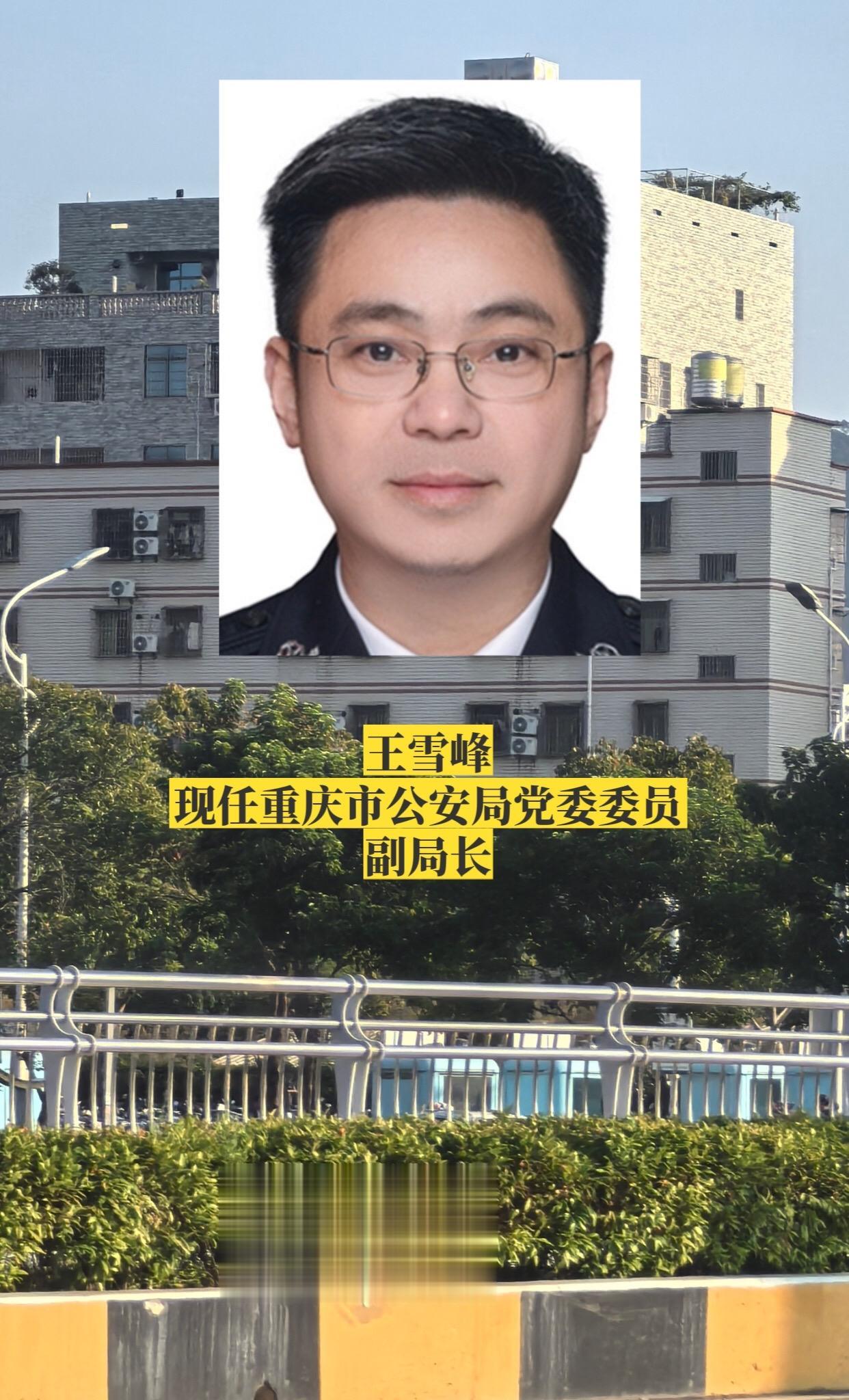 重庆公安局领导。