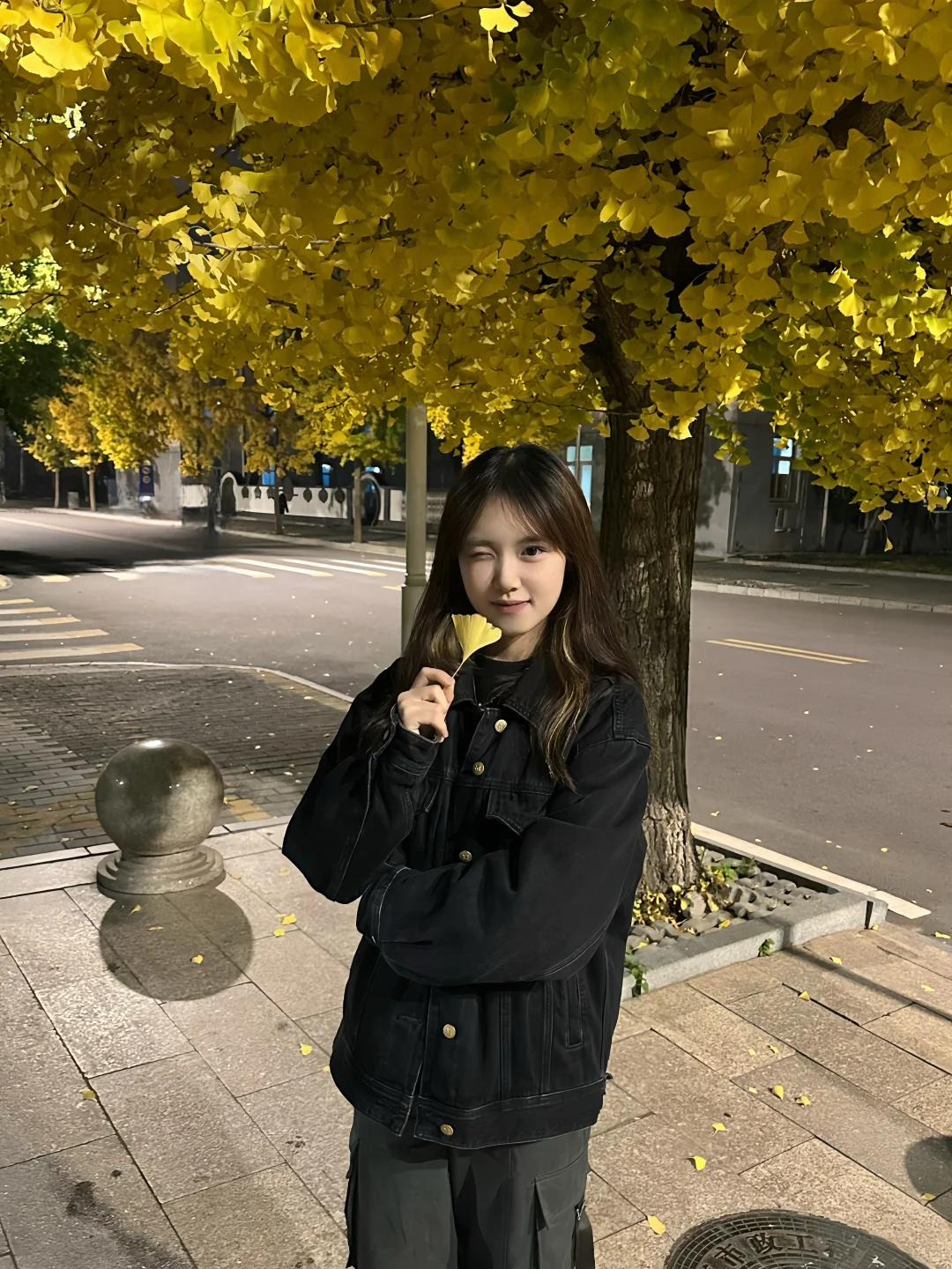 又是银杏叶飘落的季节🍂