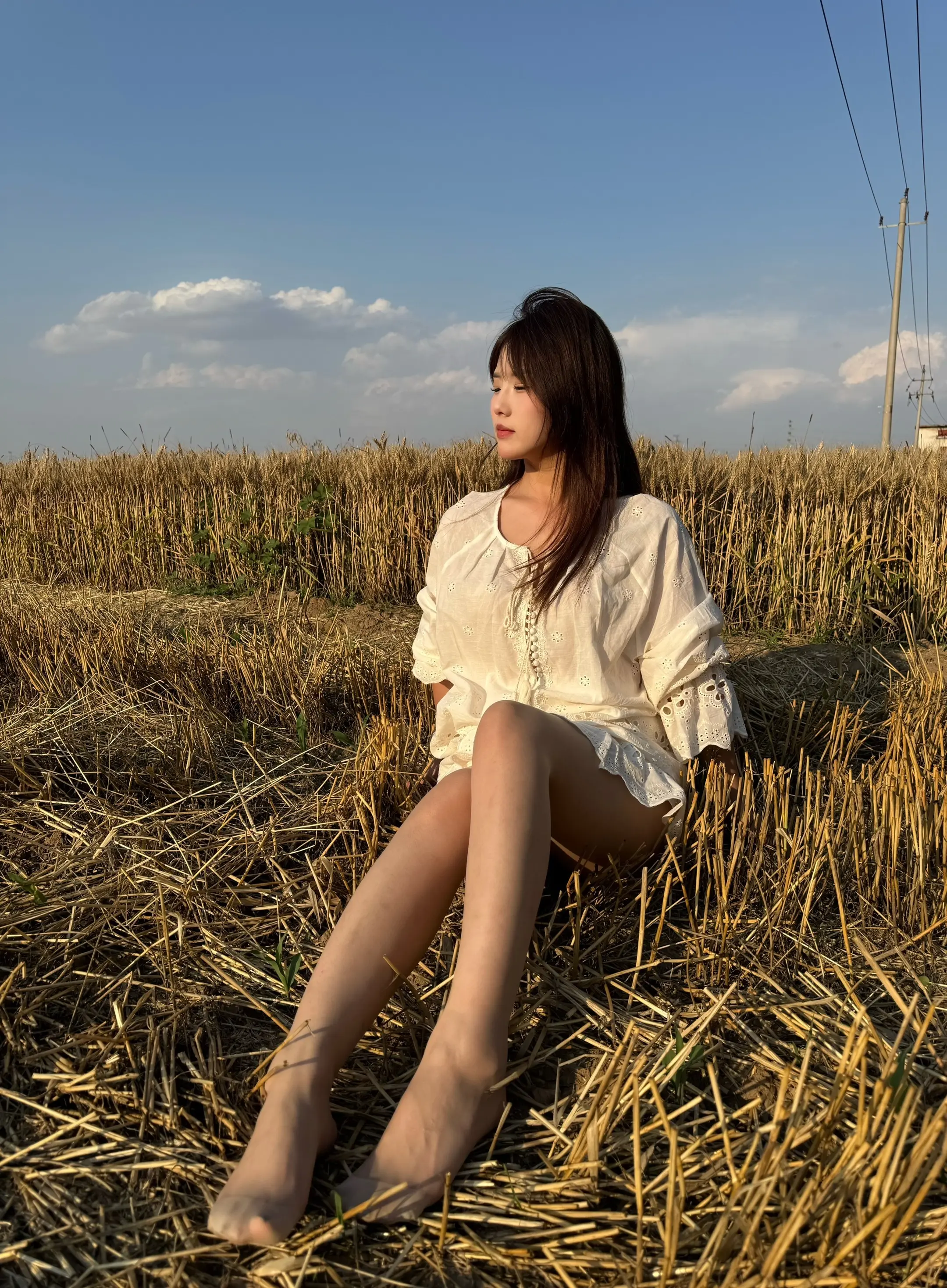 什么时候回来呀，家里的麦子熟了