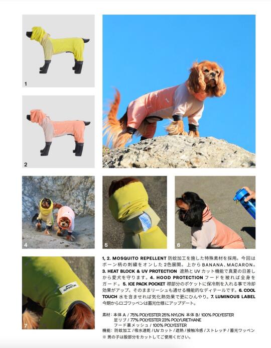 🇸🇬 ➗全新ALP新款凉凉衣