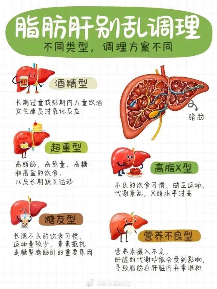 脂肪肝别乱调理不同类型，调理方案不同我们运动也需要有针对性的减脂 