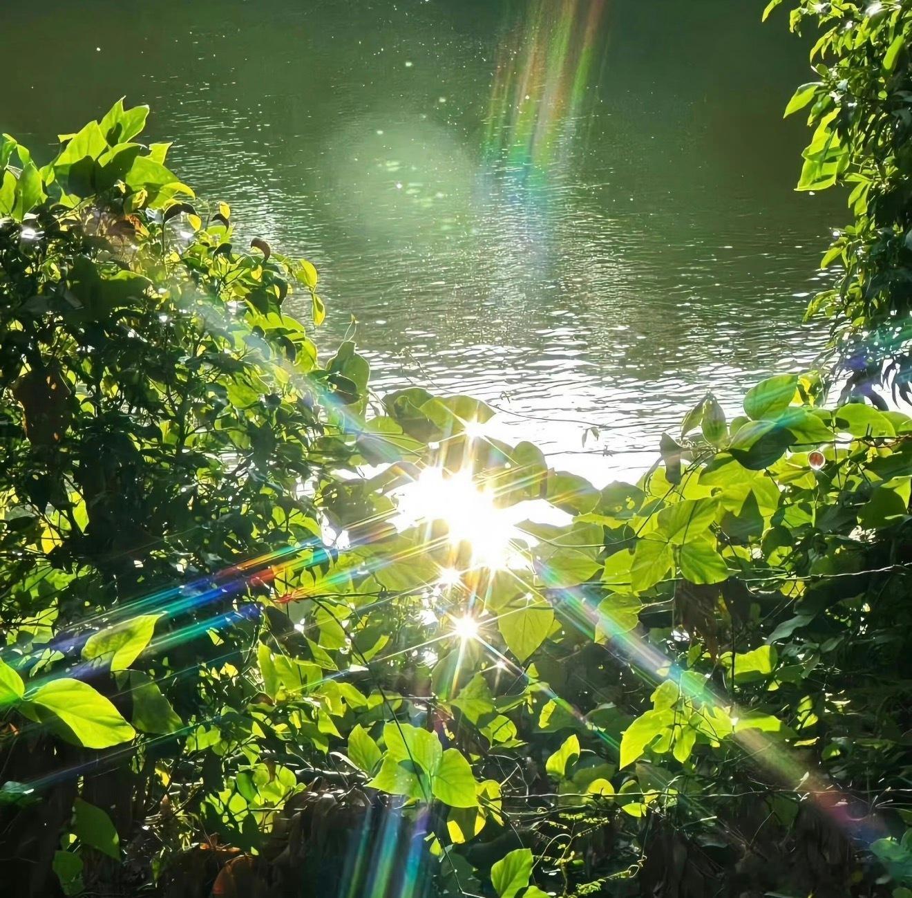 每日一善暖阳 生活，需要一点阳光，生命，需要一些勇敢，纠结过去，担心未来，都不如