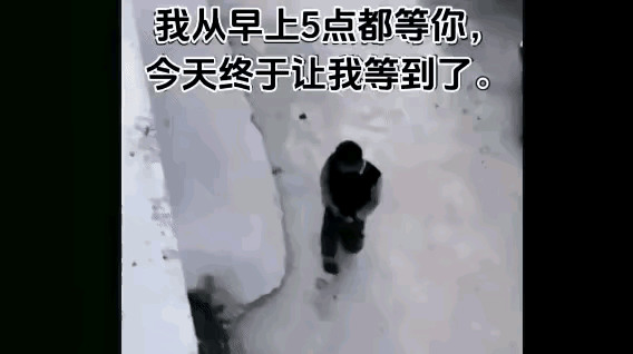 活该，真的是公德心全无！随意就地解决，业主清晨守株待兔，这下丢尽脸面！

不少小