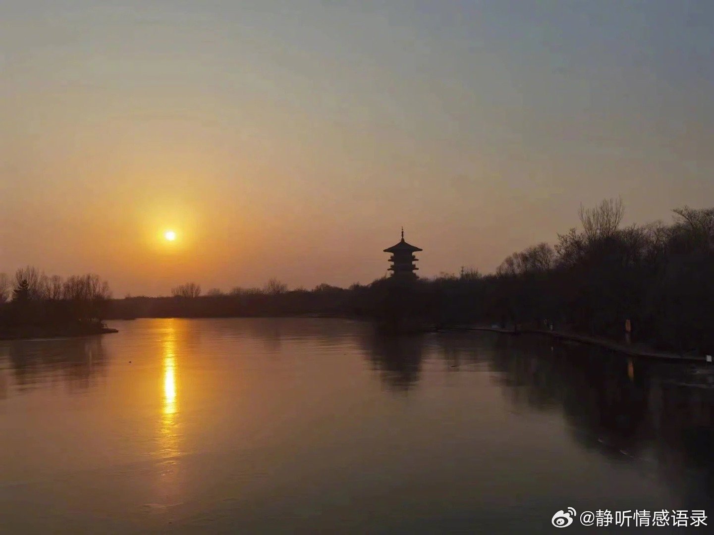 我恢复了原来的样子，撤回了依赖，收回了温柔，放下了占有欲，不作不闹，不纠缠，从今