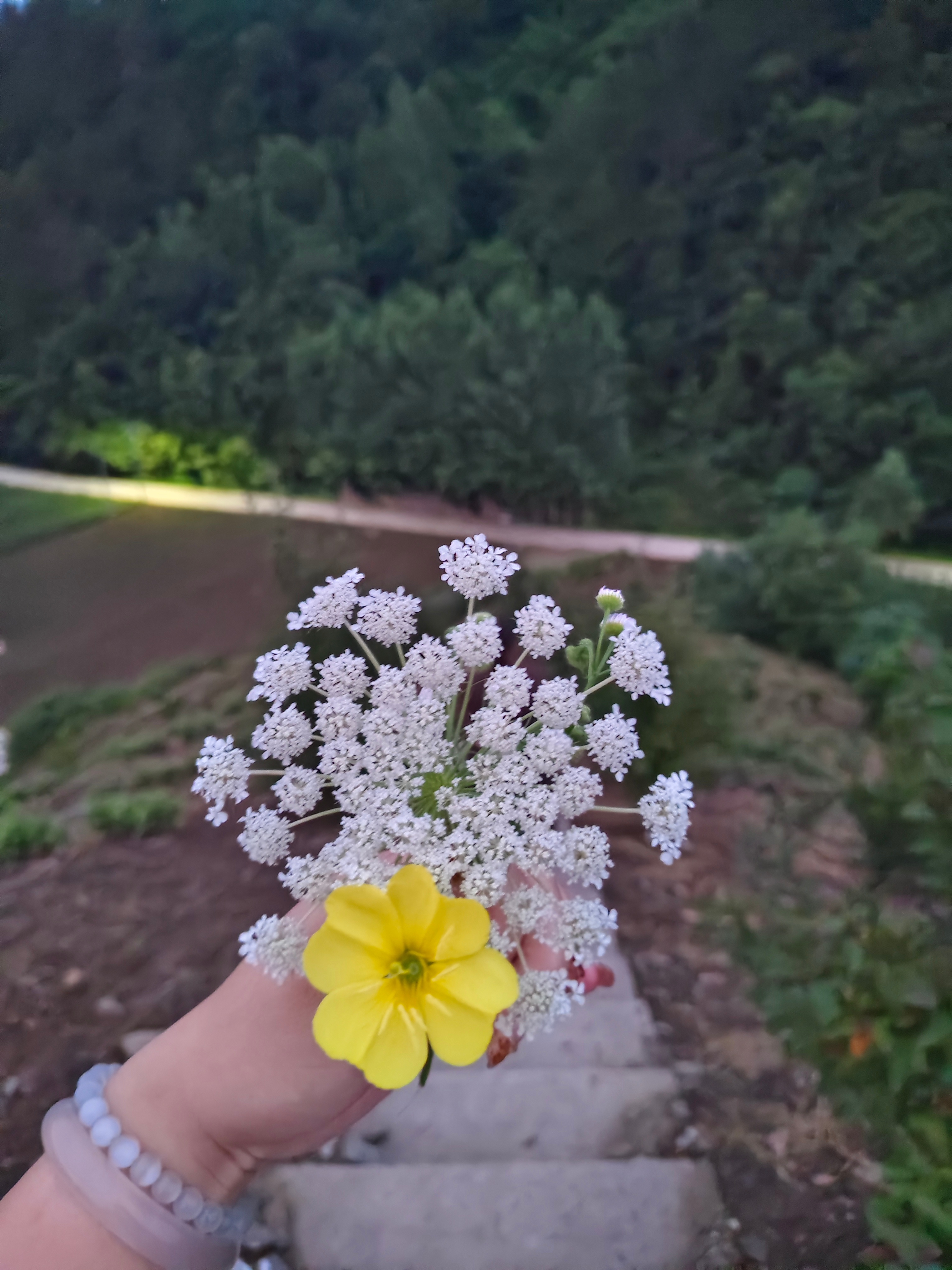 ：）频繁的记录 不要变成麻木的人📒 