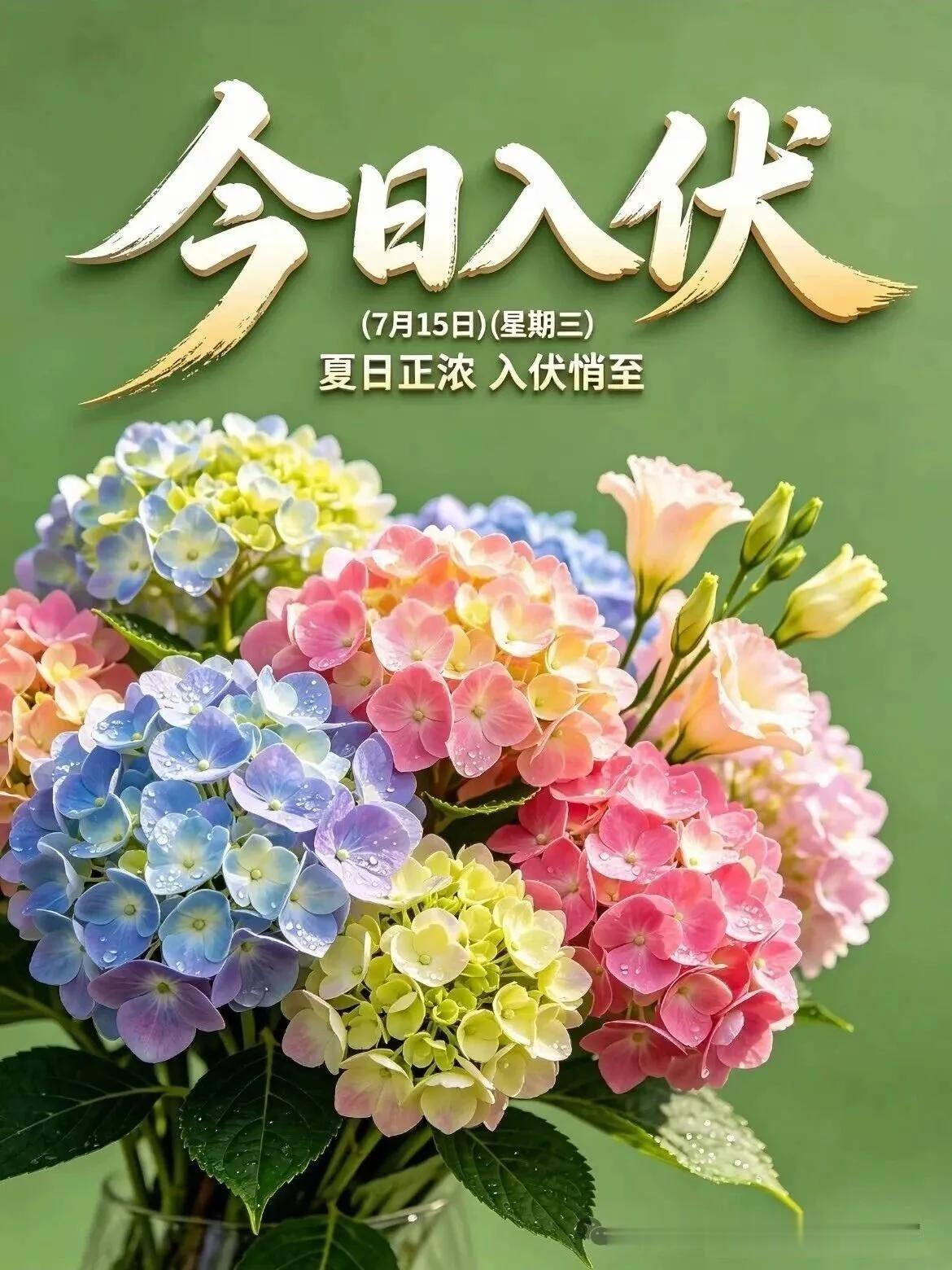 今日7月15日，迎来初伏：
  全年最闷热潮湿的三伏天开启。
   三伏的由来：