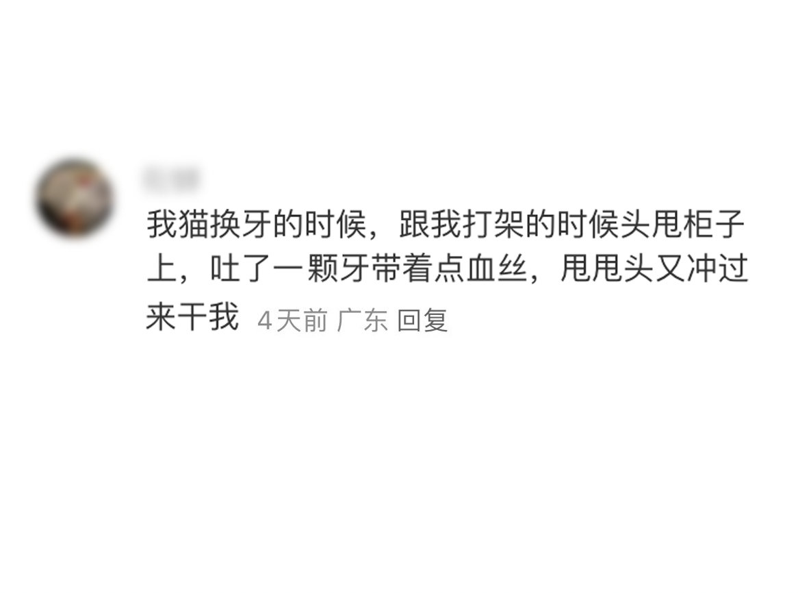 丧彪小猫啊，牙都被凶悍的对手打掉了舔着血又冲上去接着打。哎，打打杀杀的环境扭曲了