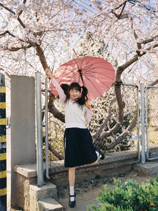 🌸春天春天 冲冲冲！