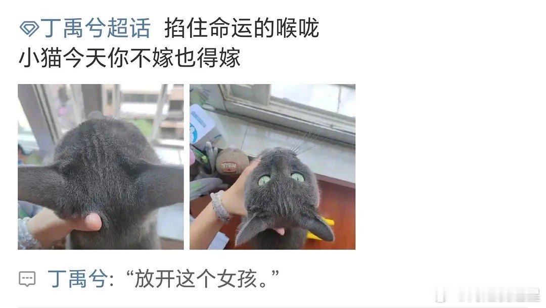 禹宙中欣 美丽的神话 丁禹兮：放开这个女孩，代入了 