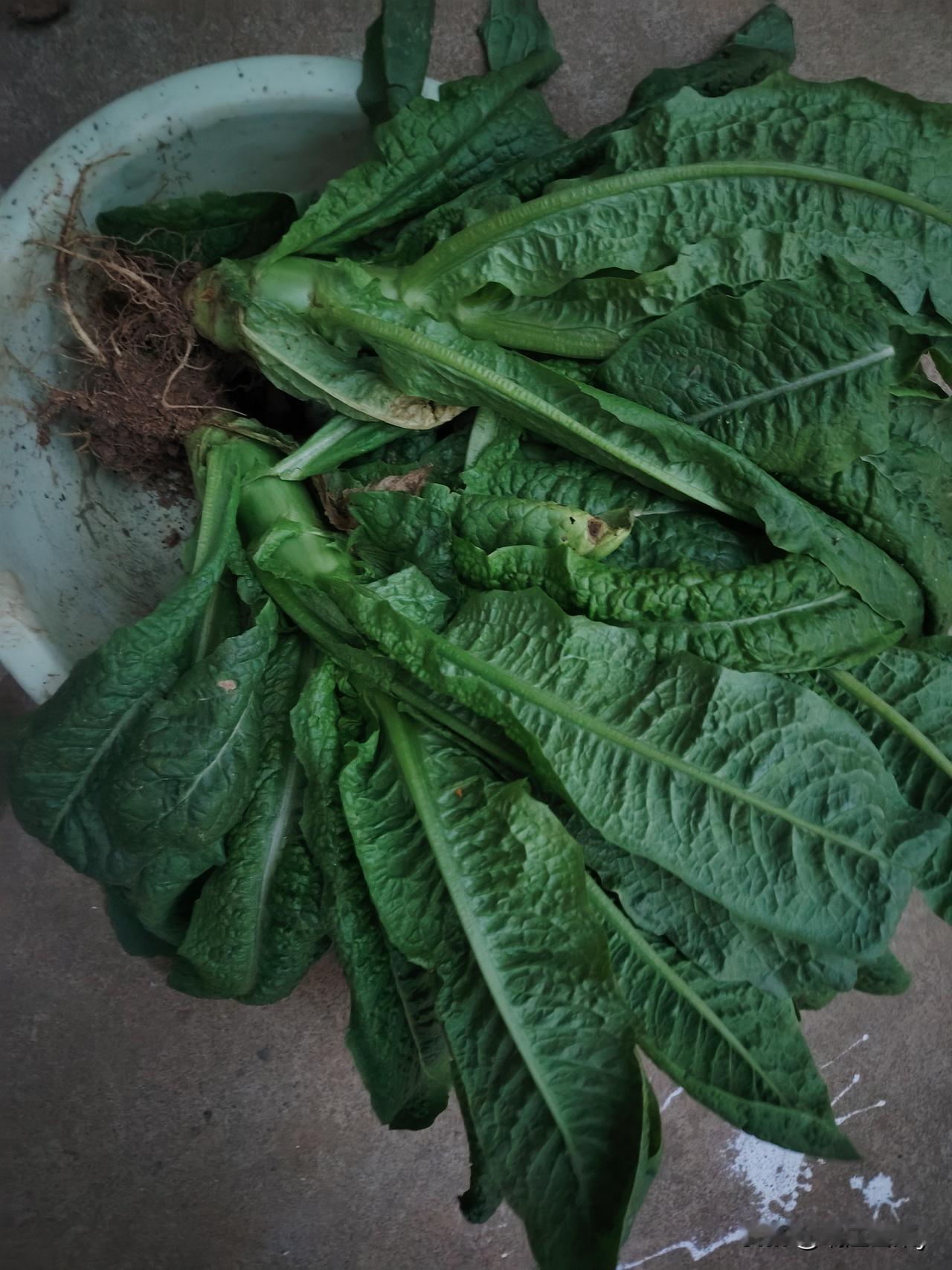 是的，我绝对赞同他说的话。
昨天还是艳阳高照的晴好天气，今天就是风雨交加的低温，