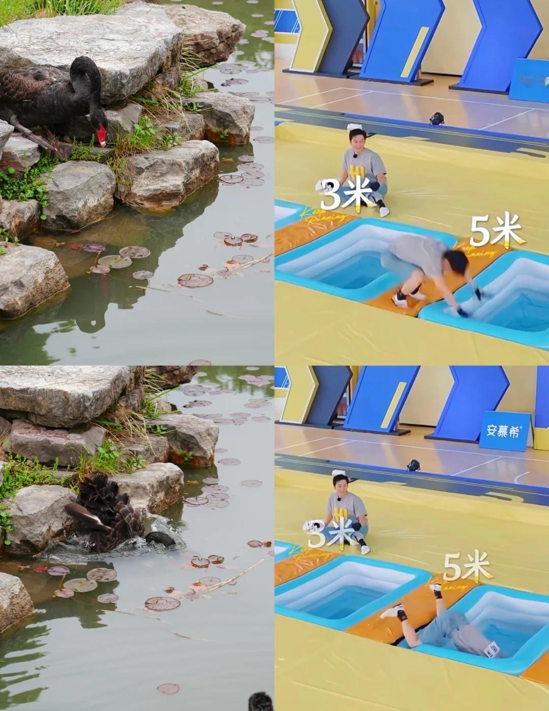 没有周深配不上的图
如图 中午闲逛想拍大鹅下水
自己先笑了半个小时才舍得发出来