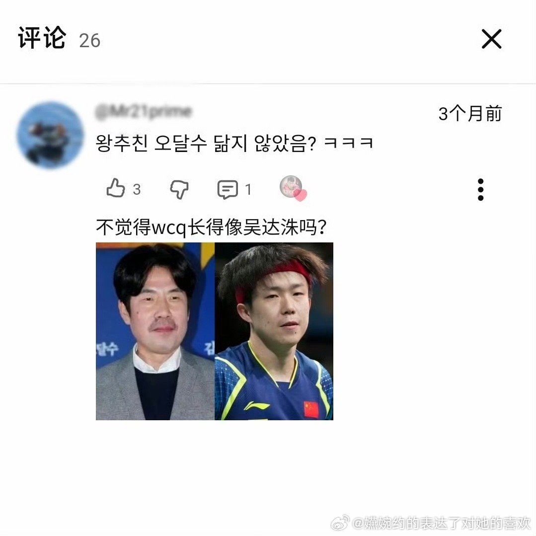 韩国人说的对，王楚钦是像的