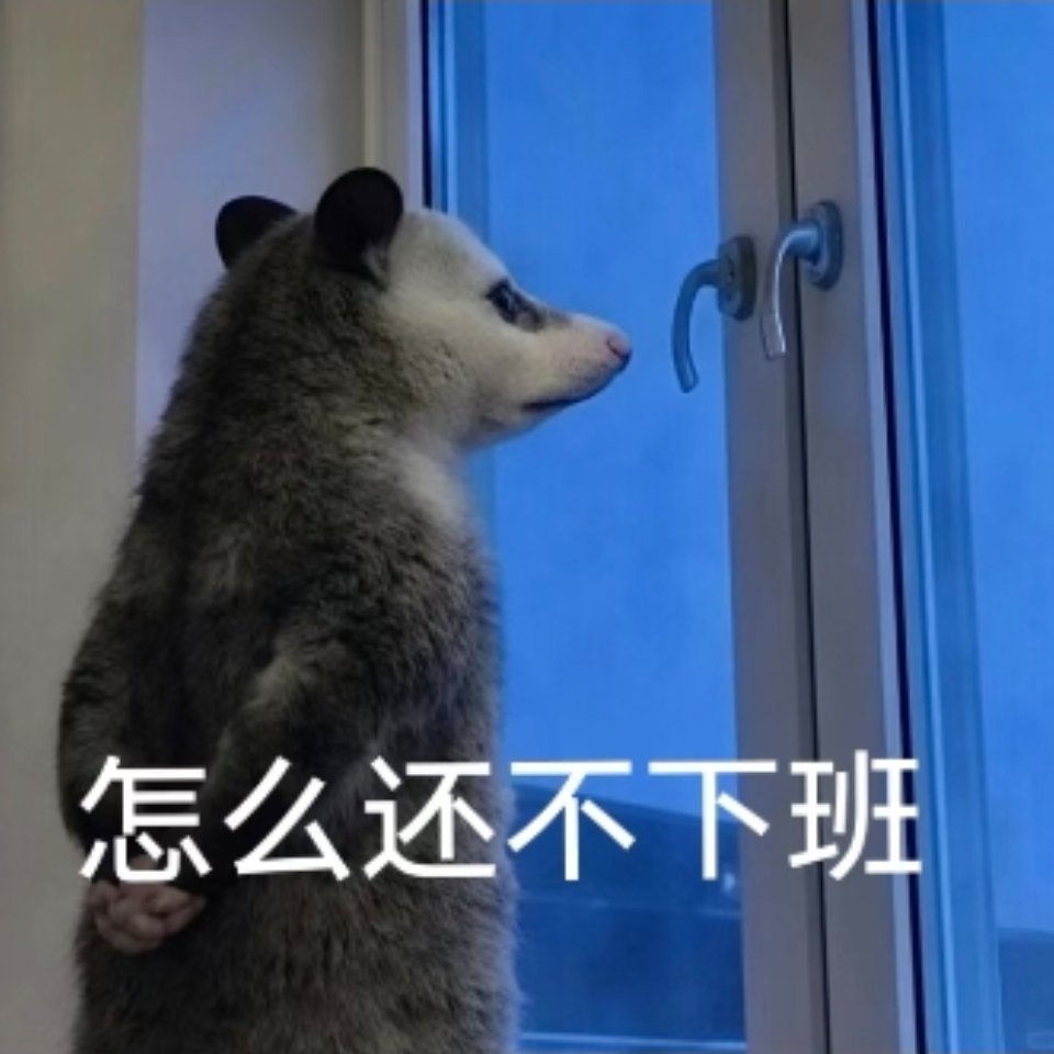 分享图片 ​​​