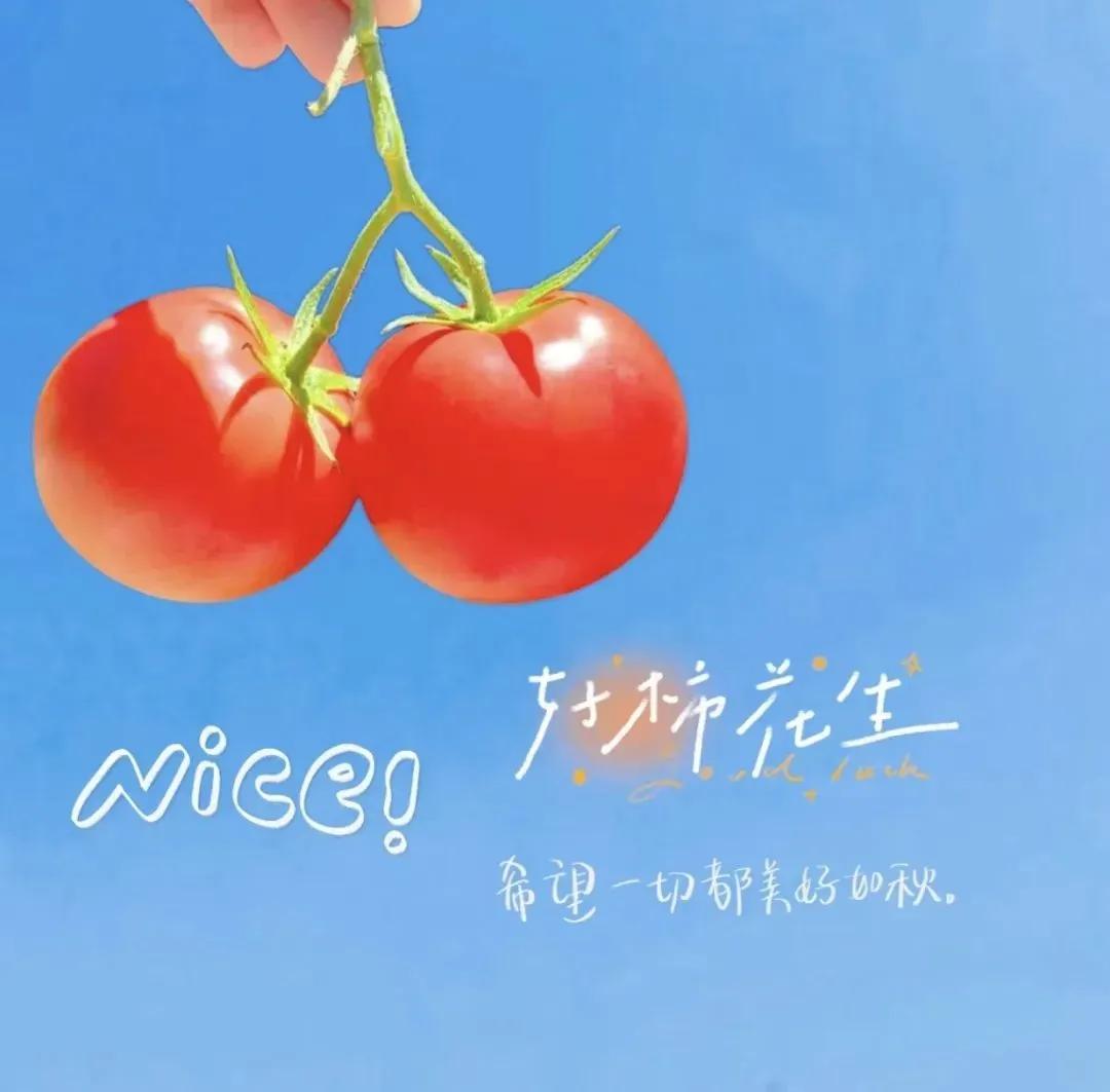 做不到人人喜欢，那就好好做自己

 
当你看过世界，见过众生，才发现，你要见的世